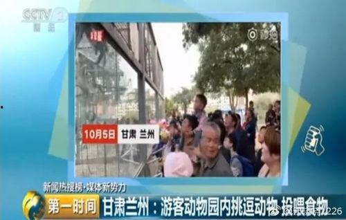 河南爆料泰和园事件视频,业主维权引发社会关注 第3张 河南爆料泰和园事件视频,业主维权引发社会关注 第3张